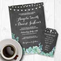 Mint Chalk Succulents Package