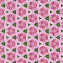 Pink Peonies Pattern