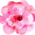 Cake and Loveys