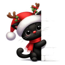 Black Cat Christmas