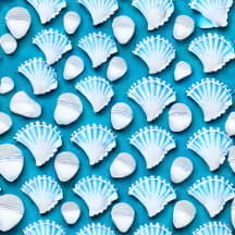 Blue and White Ocean Seashells Pattern