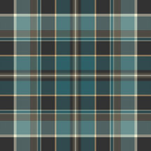 Plaid No. 58