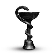 Black Medical Snake Bowl Hygieia White Caduceus