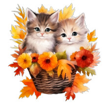 Cute baby animal kitten in a basket 