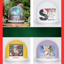 Snow Globes Life Moments