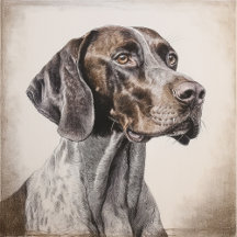 Poised Perfection: The Pointer & Setter Collection