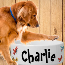 Airplane themed Pet Gifts