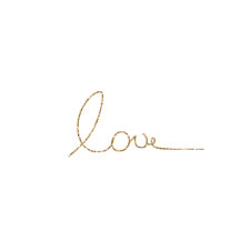 Wedding & Bridal Shower