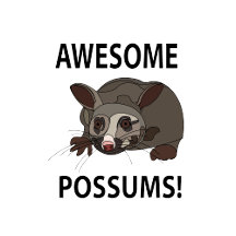 Possum Water Opossum 