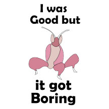 Orchid Mantis- I Was Good But It Got Boring