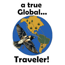 Bobolink- True Global Traveler