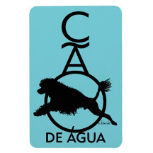 PWD MAGNETS & LICENSE PLATES