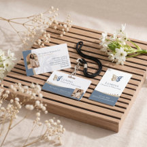 Butterfly Spine Chiropractic Brand Collection