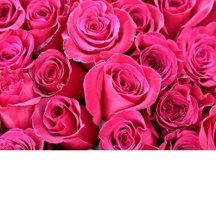 Red and Pink Roses Photo Heart for her