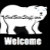 CoolBearStuff