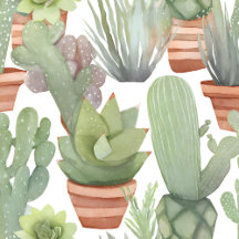  🌵Verdant Whispers🍃