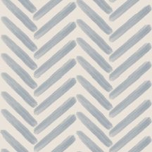 Shoreline Geometry Collection