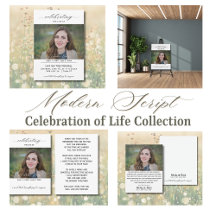 Modern Script Celebration of Life Collection