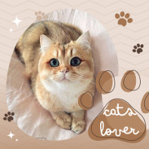 Cats lover