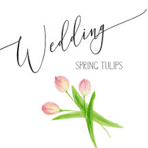 Wedding - Spring Tulips