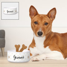Stylish Ceramic Pet Food Bowls with Quirky Designs