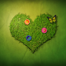 Romantic Grass Heart