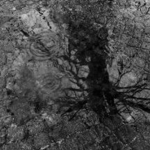 Bayernhaus Oktoberfest Goodies