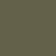 Solid Green Color   Hex# 616247