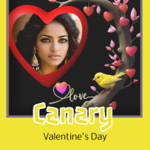 Canary