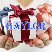 Gaylor_Name T-Shirt