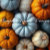 Pumpkin House Design
