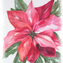 CHRISTMAS RED POINSETTIA FLOWER