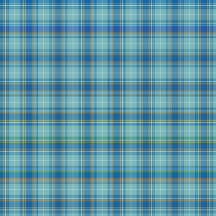 Plaid No. 13