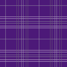 Purple Plaid Horned Frog Baby