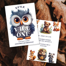 Wild One Woodland Animal Birthday Suite and Gifts