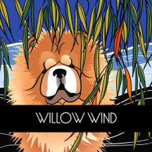 WILLOW WIND