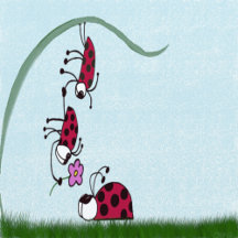 Cute Ladybug Professing His Love Collection