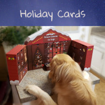 Fun Holiday Cards Featuring Rescue Dogs & Cats