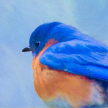 Bluebird Decorations