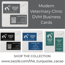 Modern Veterinary Clinic DVM Business Cards