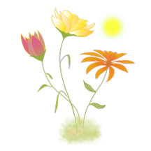 Three Flowers in the Sun - transparent.