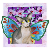 Angels, Cats and Faeries 