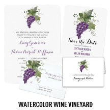 Watercolor Wine Vineyard