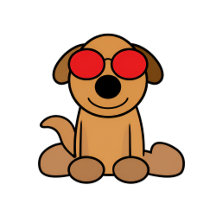 Women tshirt and Tops 