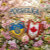 VESELKA