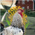 DuBois_Legacy_Farm