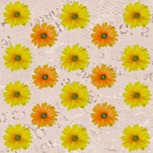 Daisy flowers bouquet