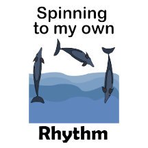 Dolphins Spinner Dolphins