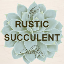 The Rustic Succulent Collection