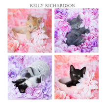 Kittens Playing in Colorful Flowers